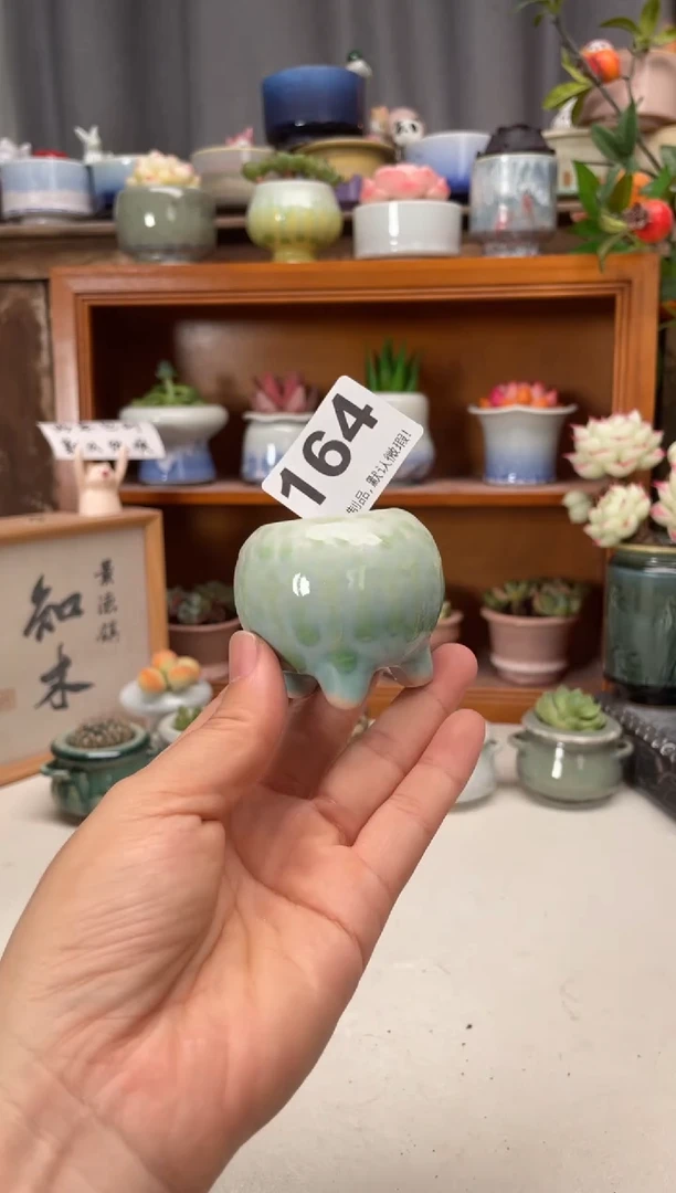 瓷片164知木小芳花盆编号
