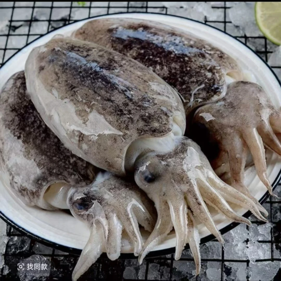 3月新货连云港海域野生墨鱼仔冰鲜发货1包1斤到手4包4斤连云港发