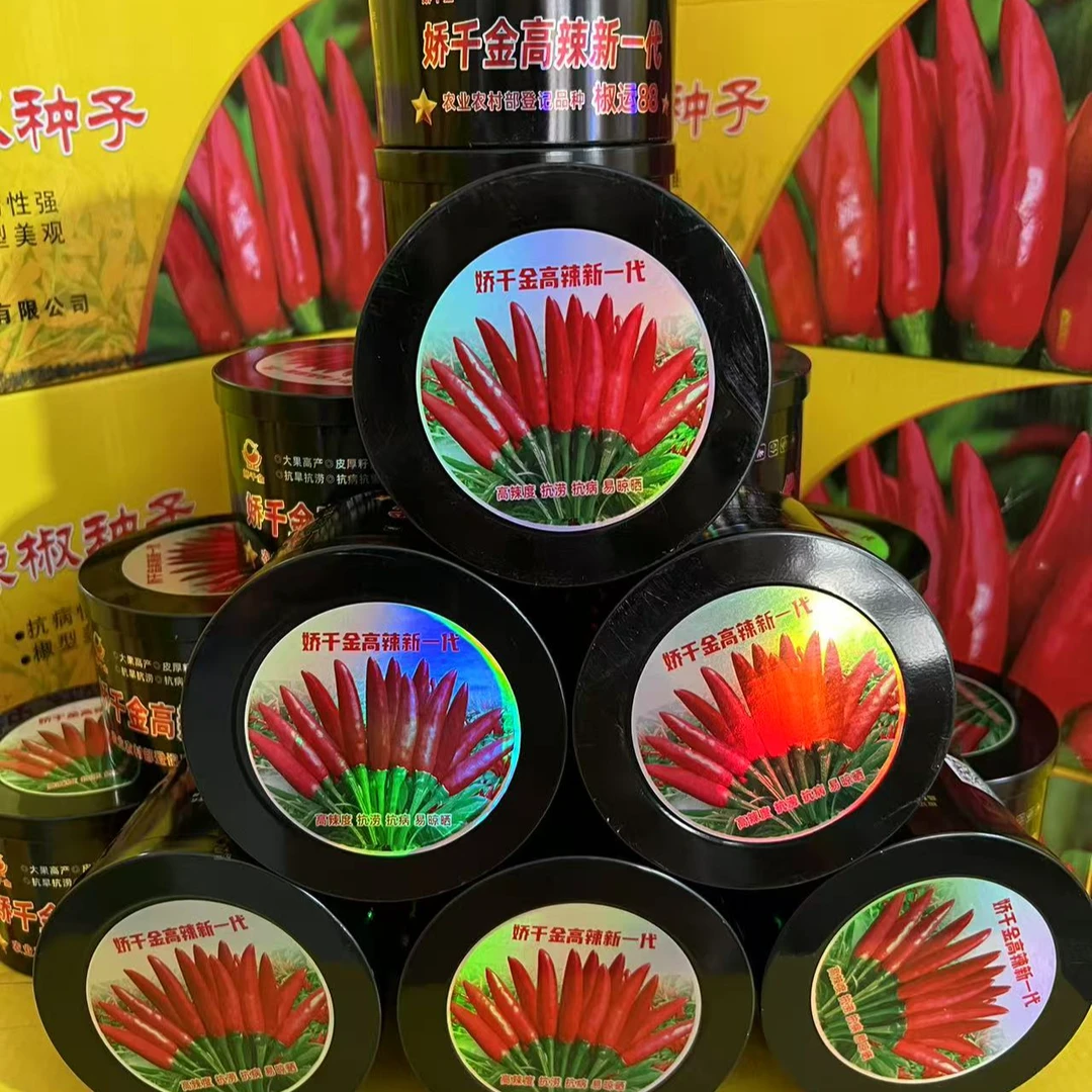 娇千金新一代【杂交】种子