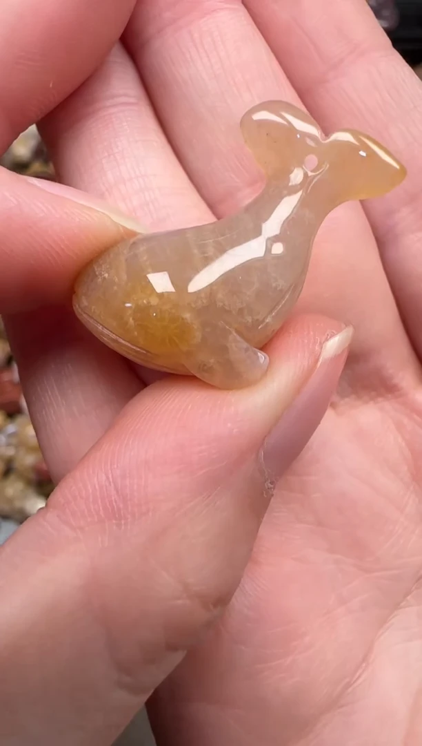 颈饰未镶嵌硅化珊瑚（珊瑚玉）182