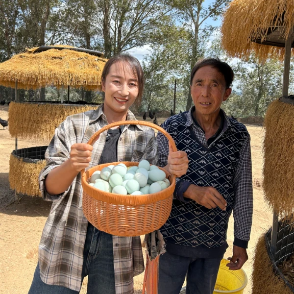 【标准蛋】30枚  五里湾山地散养乌鸡蛋 农家新鲜现捡现发