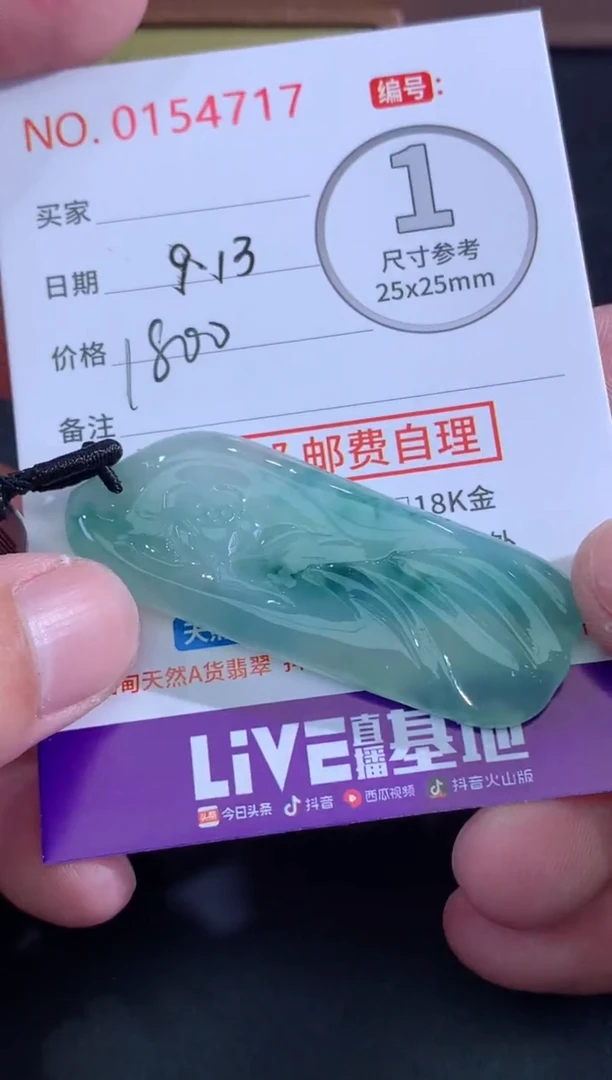 颈饰未镶嵌翡翠浅*天然缅甸A货翡翠
