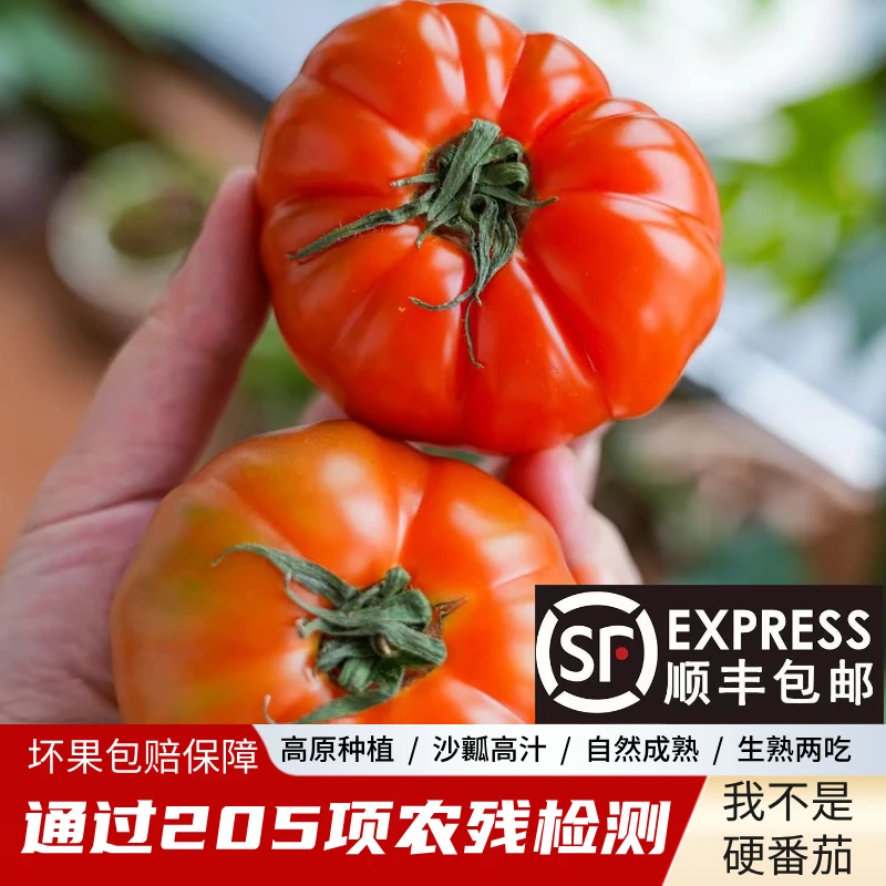 【顺丰包邮】云南老品种马蹄番茄现摘新鲜沙瓤自然熟西红柿牛心番茄