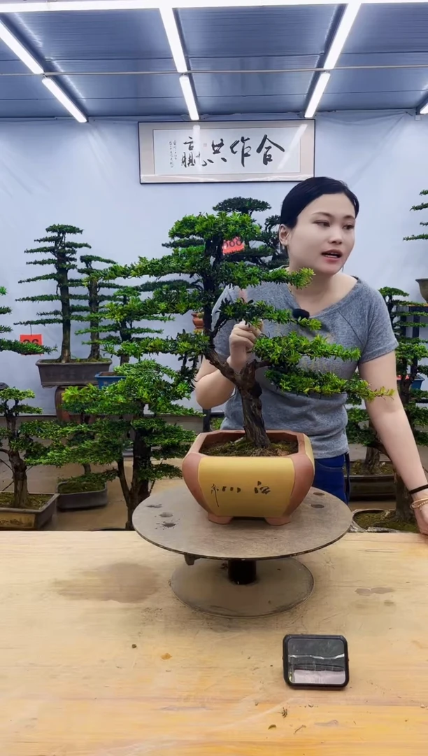 无花朵一物一拍，所见即所得