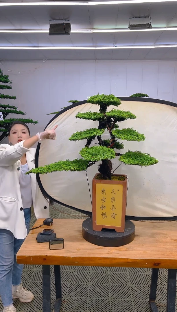 无花朵一物一拍一物一拍