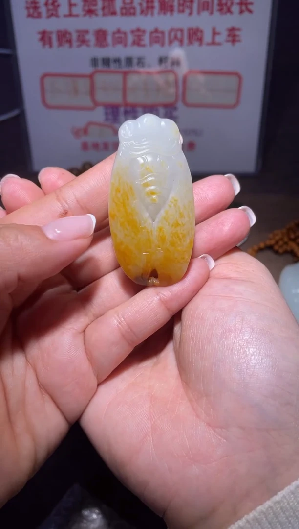 未镶嵌和田玉挂件x236