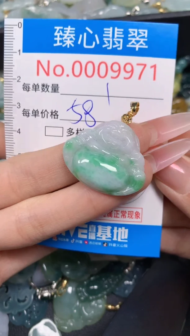 【闪购商品】翡翠颈饰未镶嵌含绳0009971