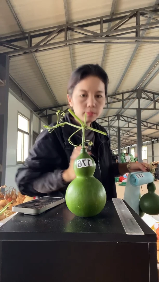 尐**?176天然葫芦摆件 一物一拍龙头不保售后