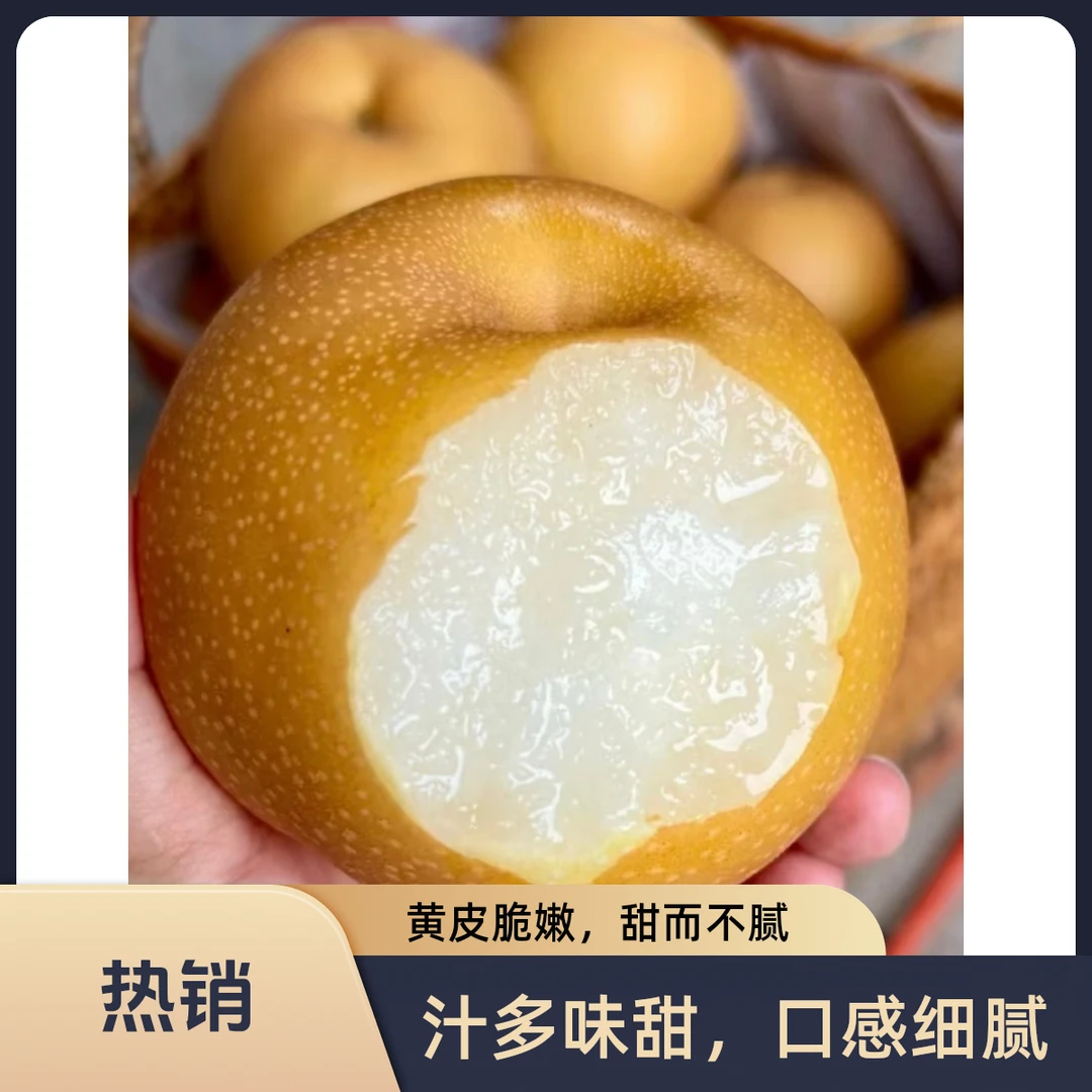 精选甜口爆汁秋月梨