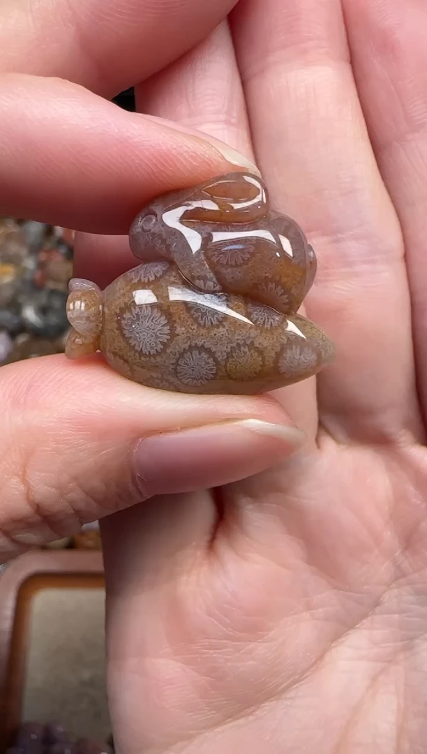 颈饰未镶嵌硅化珊瑚（珊瑚玉）375
