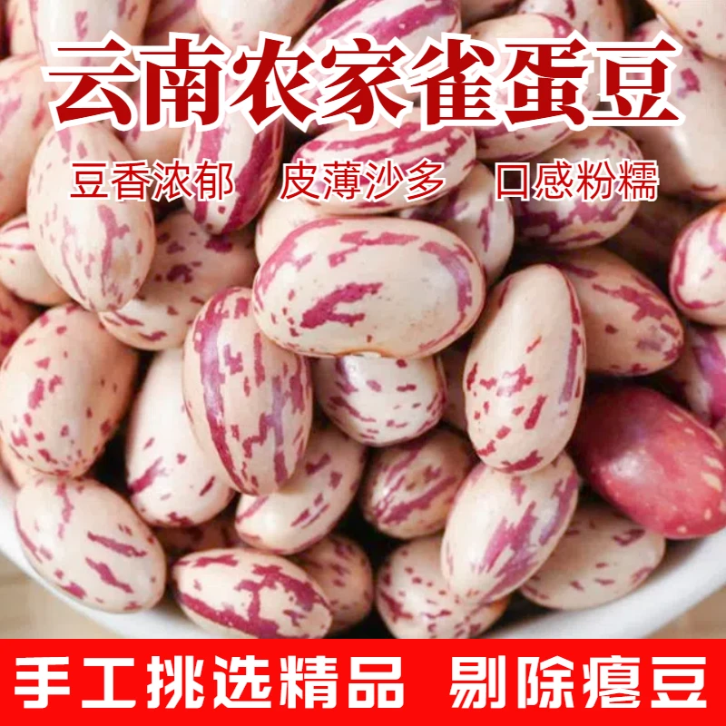 当季山地雀蛋豆新货云南特产生花红豆子云奶腰豆贵州新鲜芸饭豆米