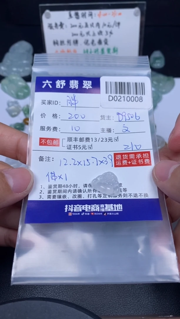 【闪购商品】翡翠吊坠(不含链)未镶嵌D0210008