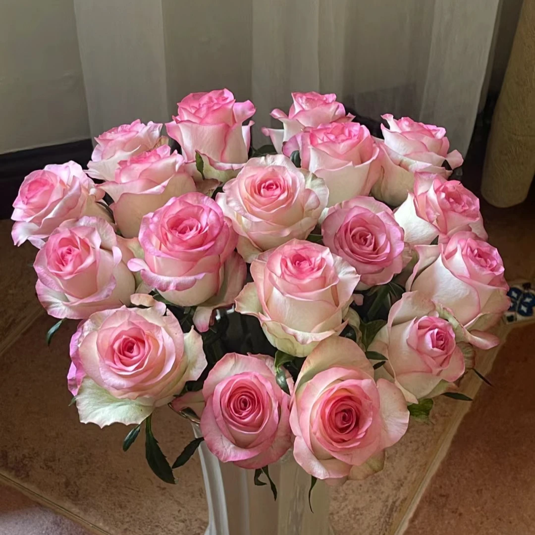 【任意色玫瑰】40枝4个颜色云南基地鲜花直发