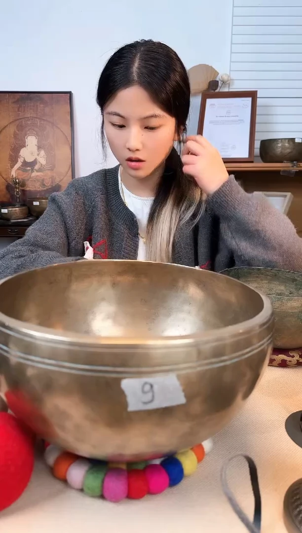 【闪购商品】藏巴蒂27-F