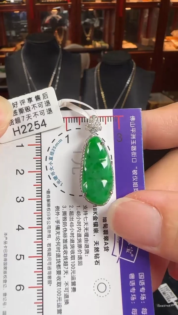 颈饰18K金镶嵌翡翠H2254辣绿豆豆