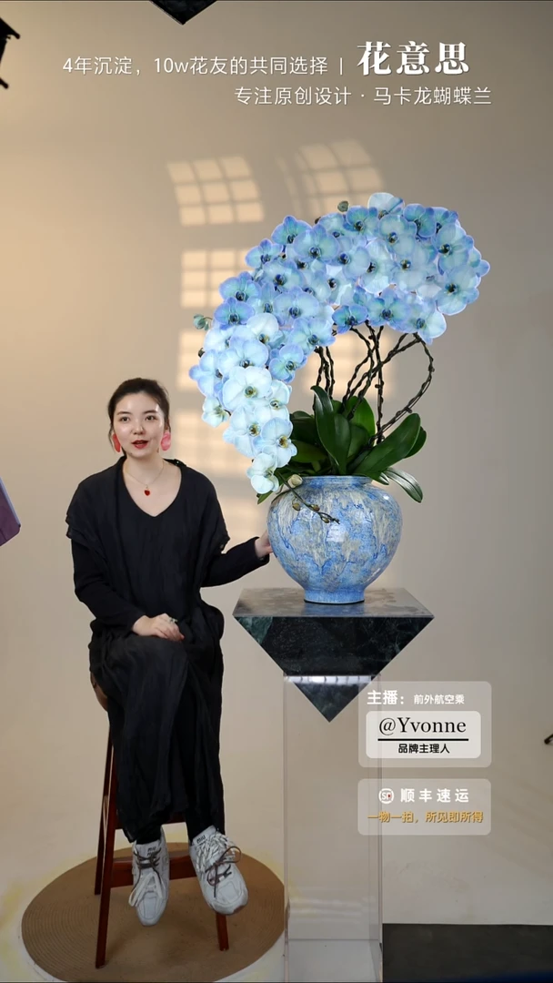 全部花朵002一物一拍蝴蝶兰艺术盆景