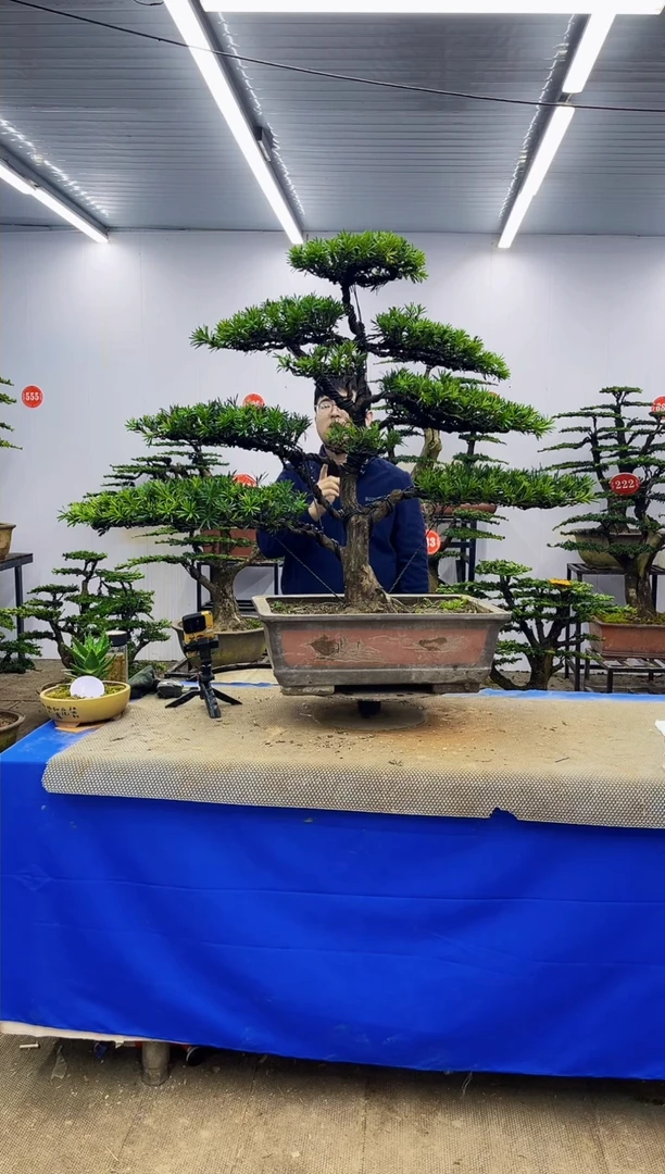 完全开放一物一拍，所见即所得