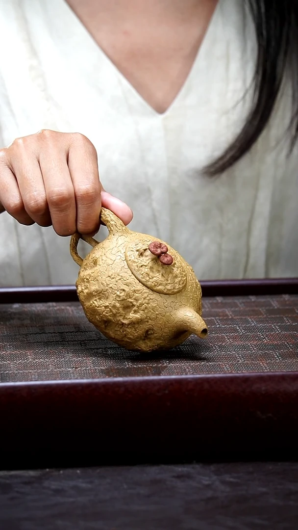 W韩慧《椭圆灵芝供春壶》