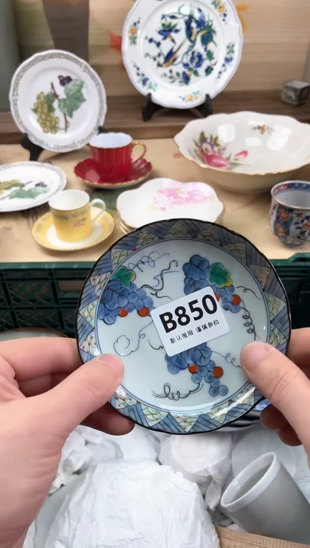 瓷片贞850