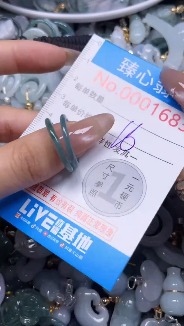 颈饰未镶嵌翡翠1683