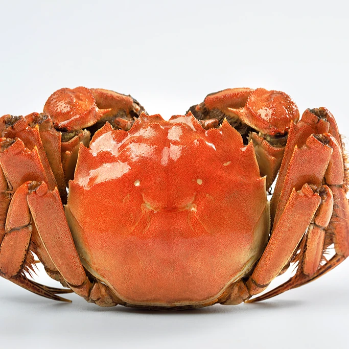 【5.0-4.7两公蟹+4.0-3.7两母蟹 活蟹】6/8/10只装 苏州大闸蟹顺丰京东冷链鲜活到家大闸蟹