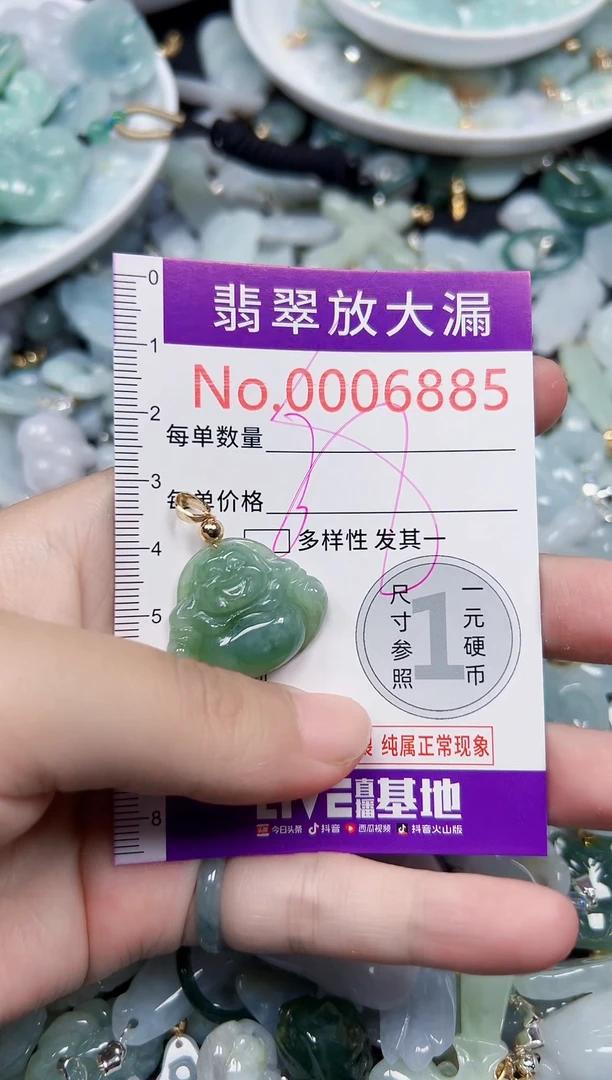 颈饰未镶嵌翡翠6885