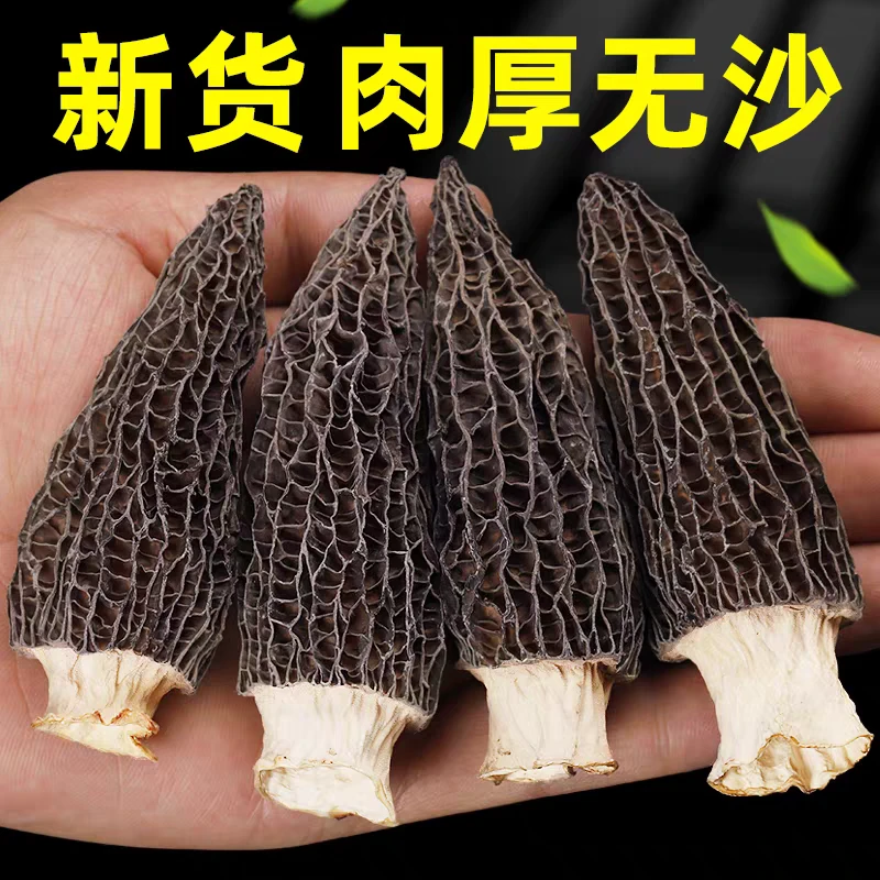 精选靓货 中大号头茬厚肉羊肚菌