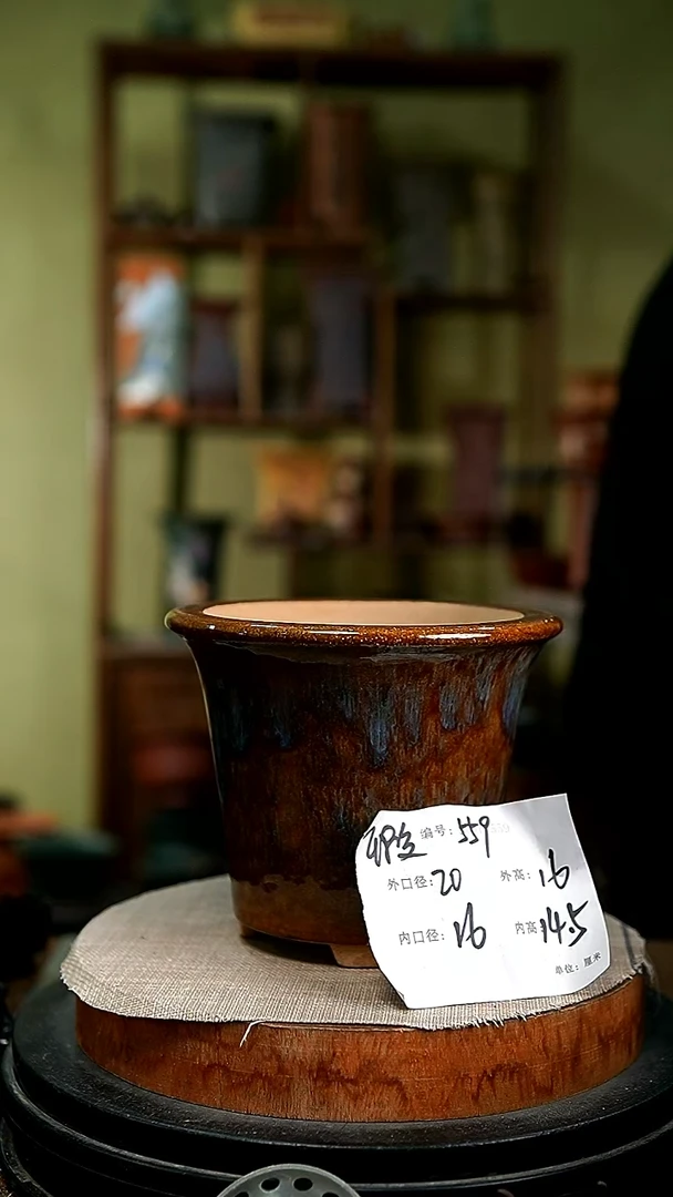 紫砂花盆花卉园艺559瑕