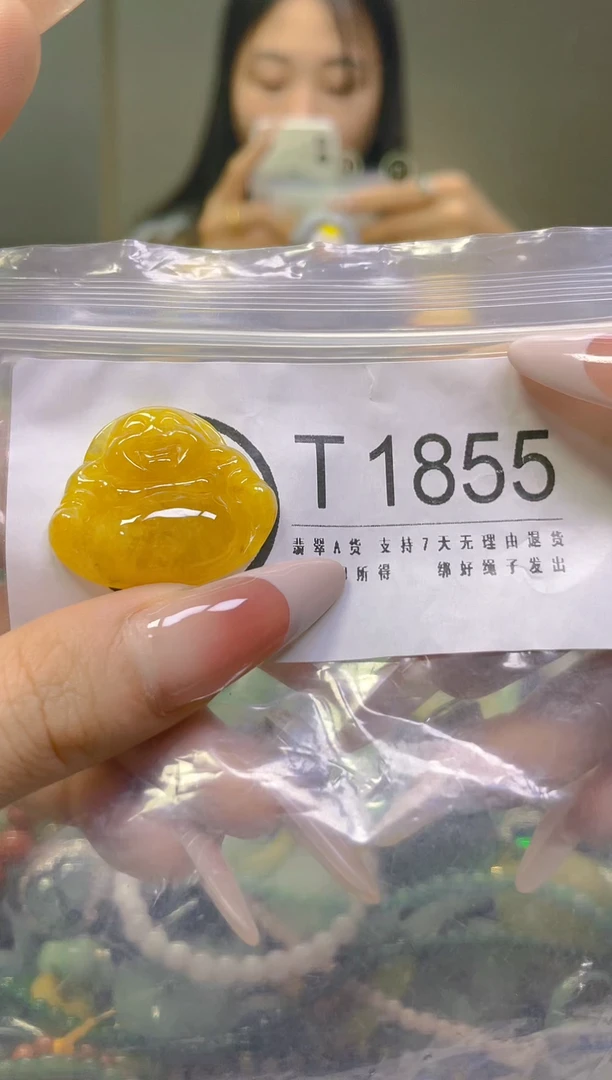 翡翠未镶嵌颈饰/T/翡翠A货一图一物