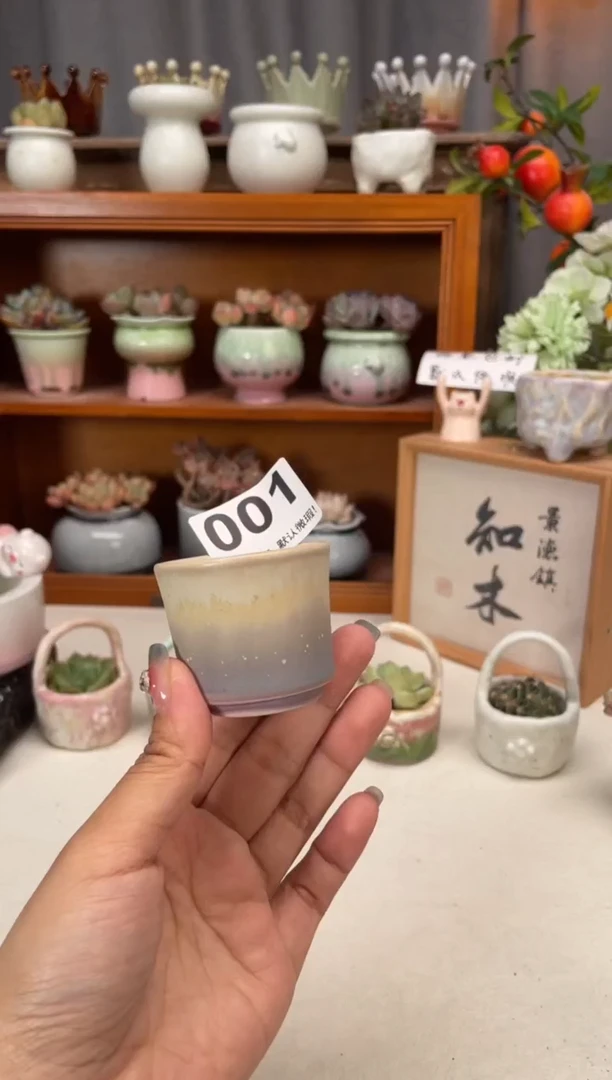 瓷片001知木小芳花盆编号