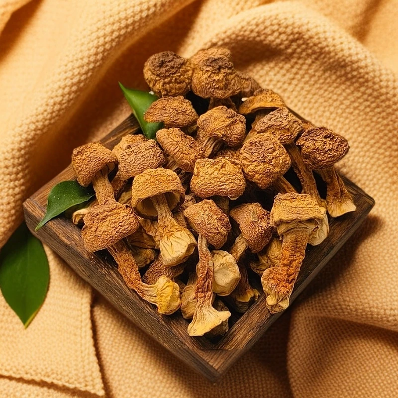 【姬松茸】云南特产姬松茸原色原味煲汤食材干货50g袋