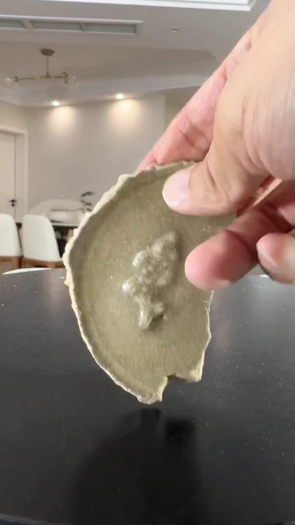 瓷片龙泉青瓷鱼底瓷片标本