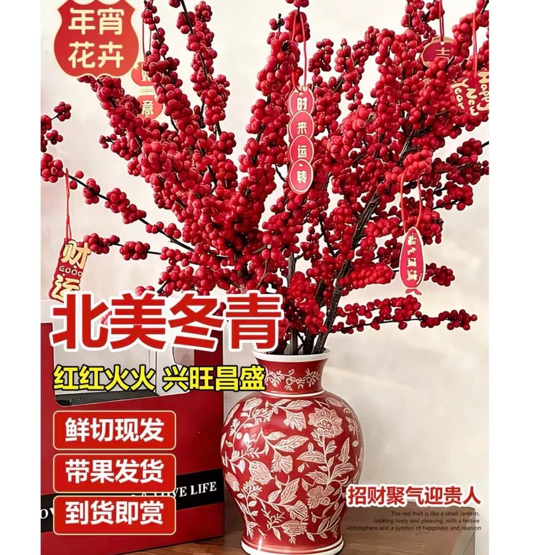 【北美冬青】鲜花年宵花水培喜庆红果吉祥富贵花卉枝条