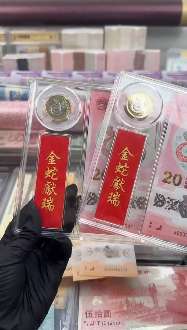 塑料2025年蛇钞币组合（号码随机）