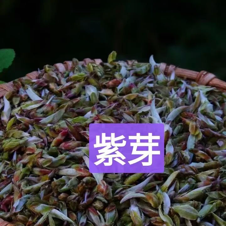 2025年勐海野生紫芽生茶散茶100克/500克/1000克