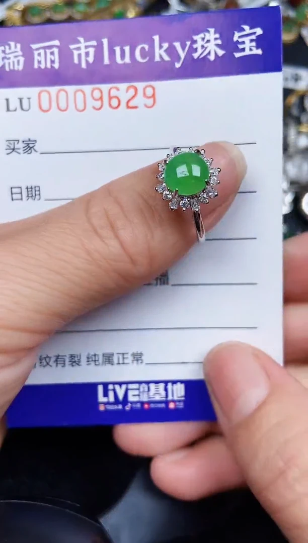 翡翠银S925镶嵌颈饰9629