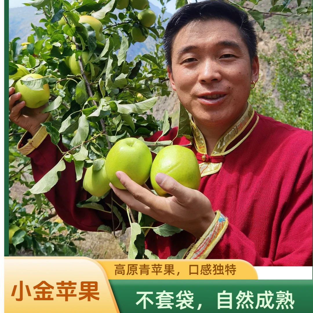 【阿斌优选】小金县青苹果口感变粉不是现摘 存保鲜库发货顺丰包邮