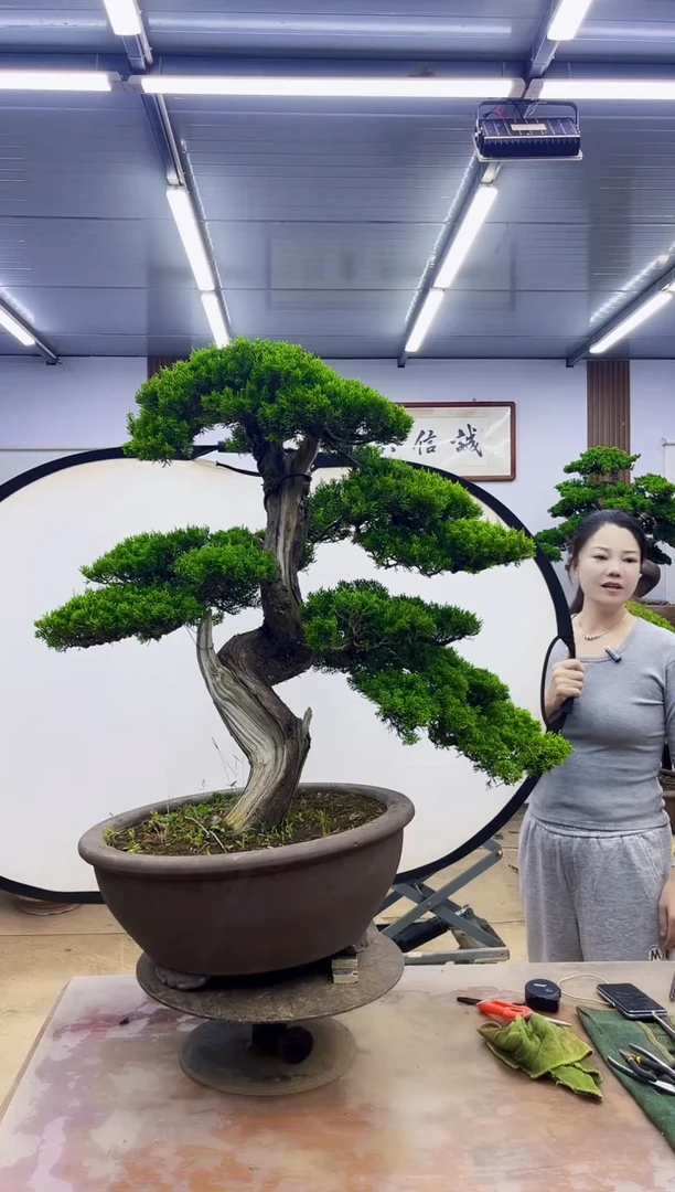 无花朵一000000000