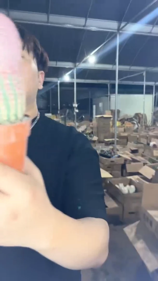 大单头 红太阳【带根】