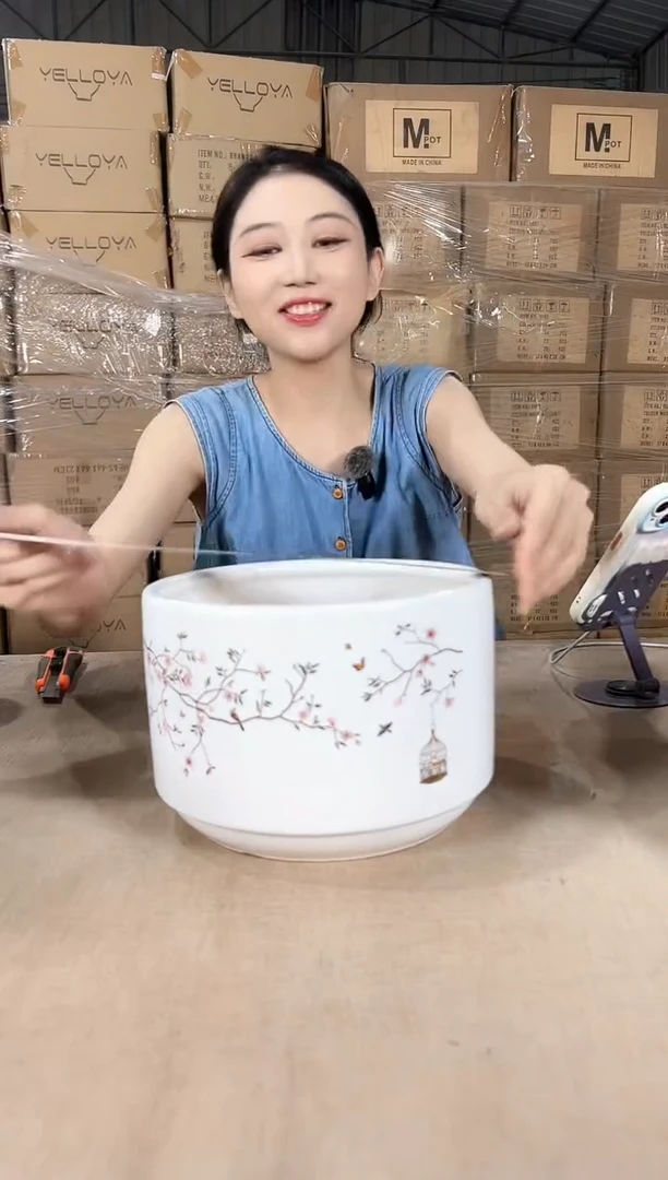 蝴蝶兰鸟笼白色中号21x15