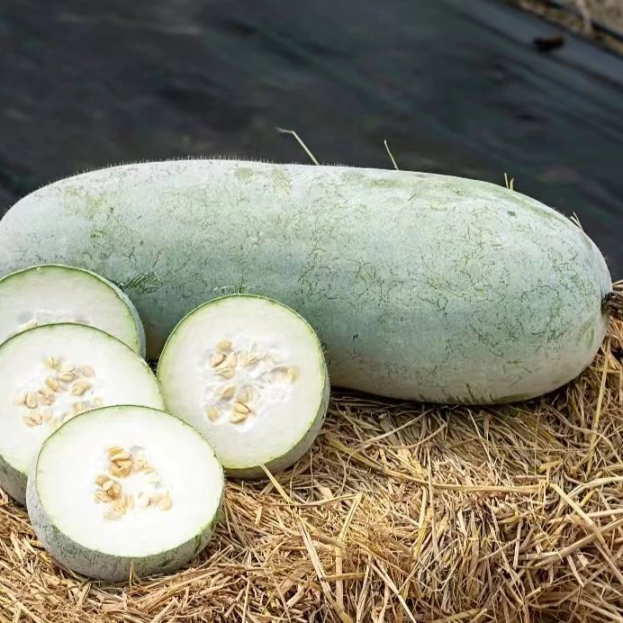 四川高山农家米冬瓜