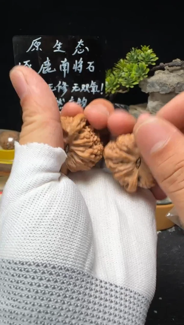 文玩核桃把件月**桐南将石