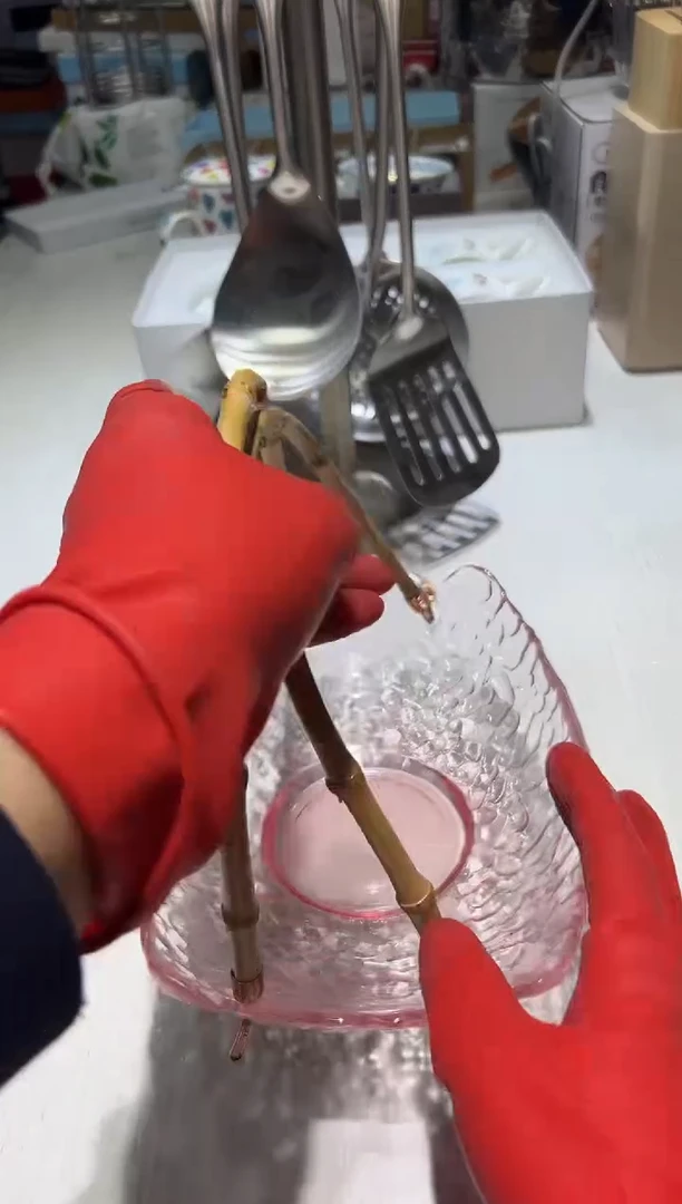 瓷片福利全场,清仓不停@@1