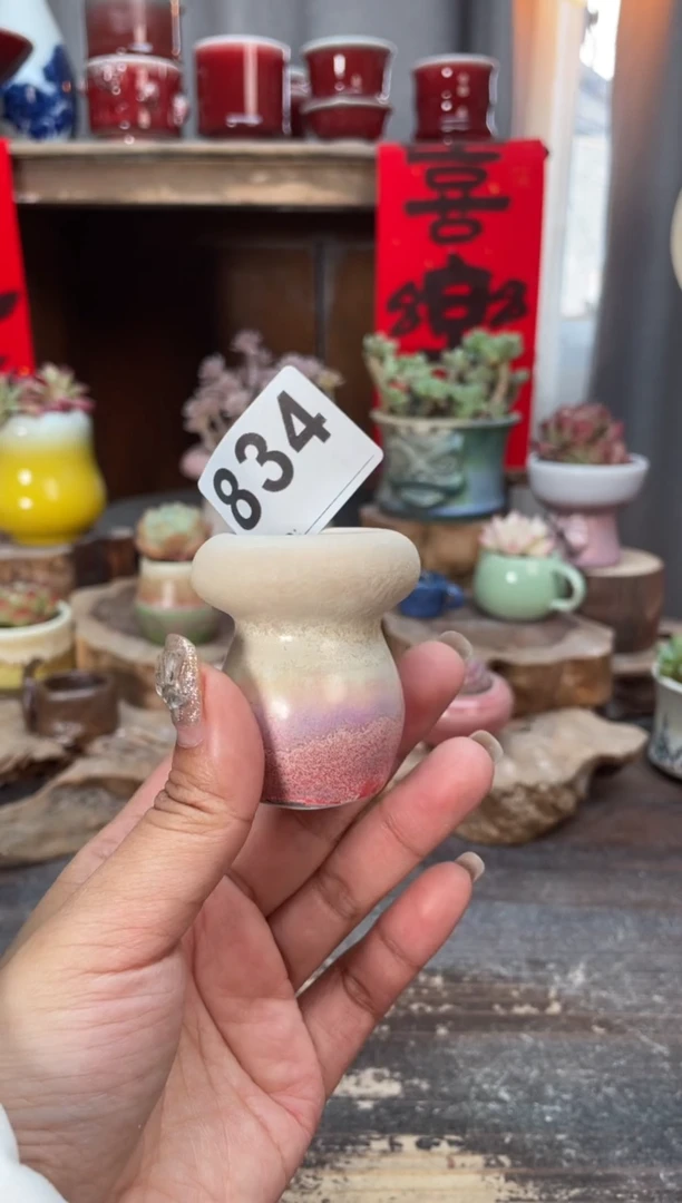 【闪购商品】摆件834微瑕知木小芳花盆
