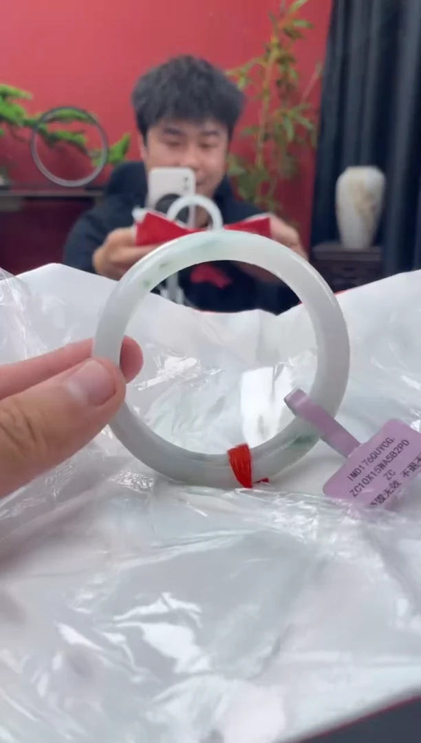 未镶嵌手镯翡翠2