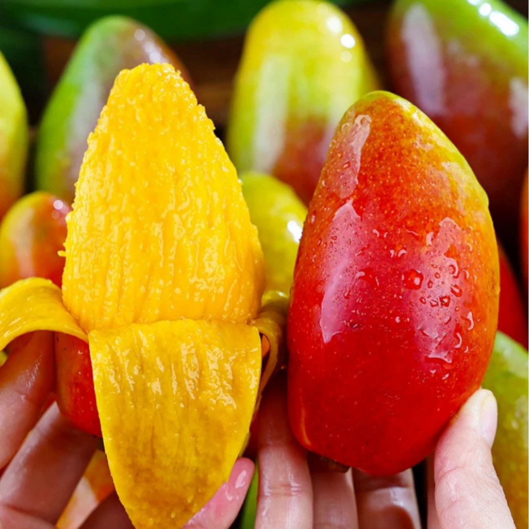 贵妃芒新鲜香甜皮薄肉厚现摘现发芒果果园采摘多汁饱满