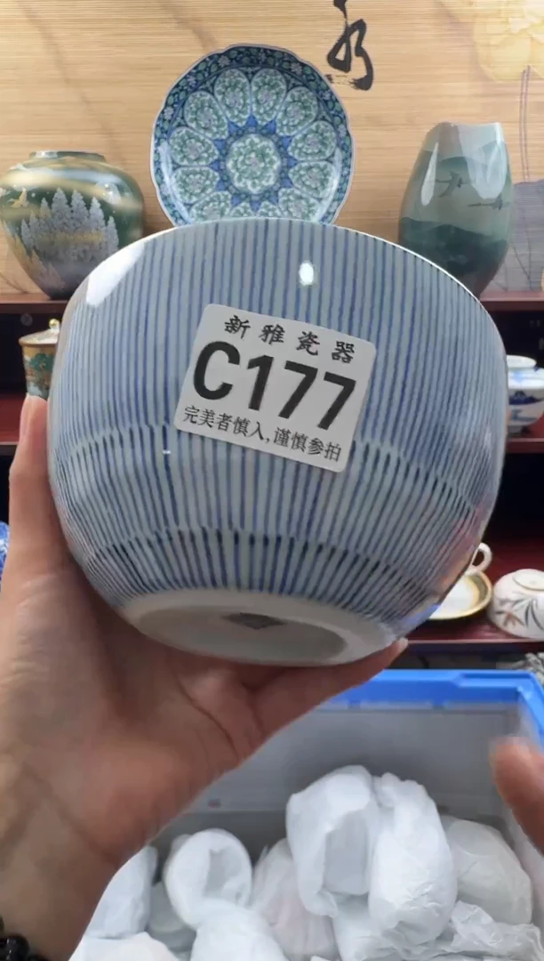 瓷片           C177