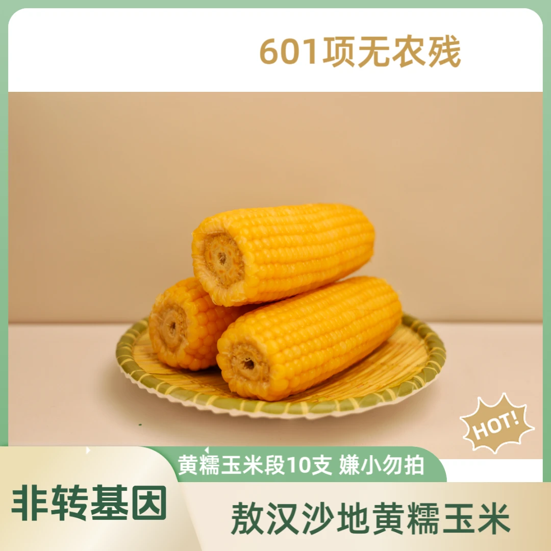 <朱两只专属>内蒙沙土地甜糯玉米非转基因1.8kg*10支嫌小勿拍