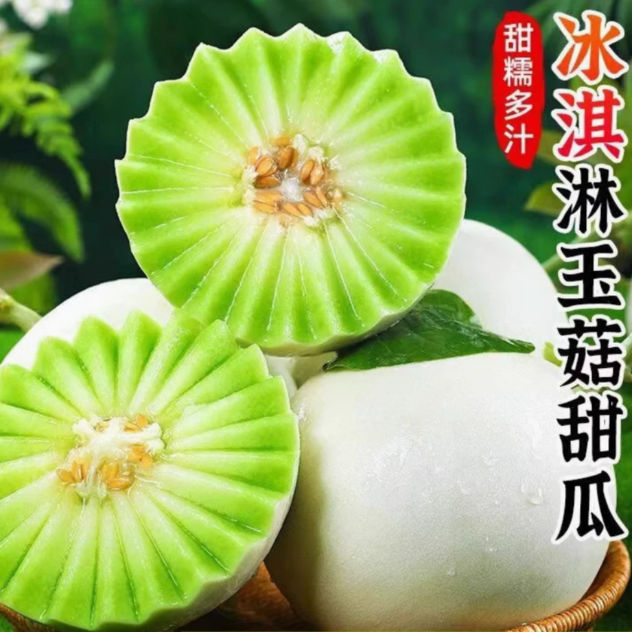 山东玉菇甜瓜4.5-8.5斤冰淇淋香瓜应当季水果现摘新鲜蜜瓜