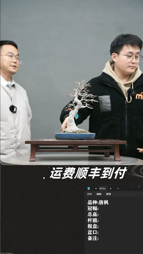 【闪购商品】40 唐枫